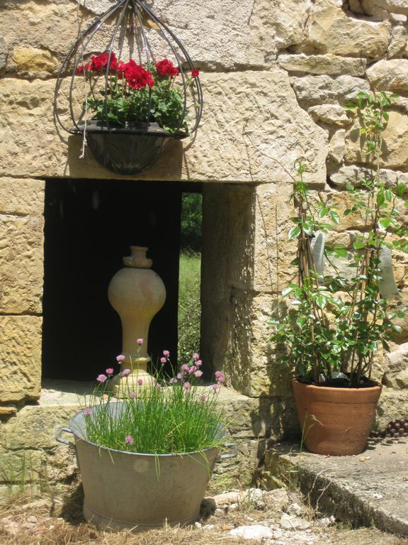 Domaine La Rose Bed and Breakfast Caylus Exterior foto